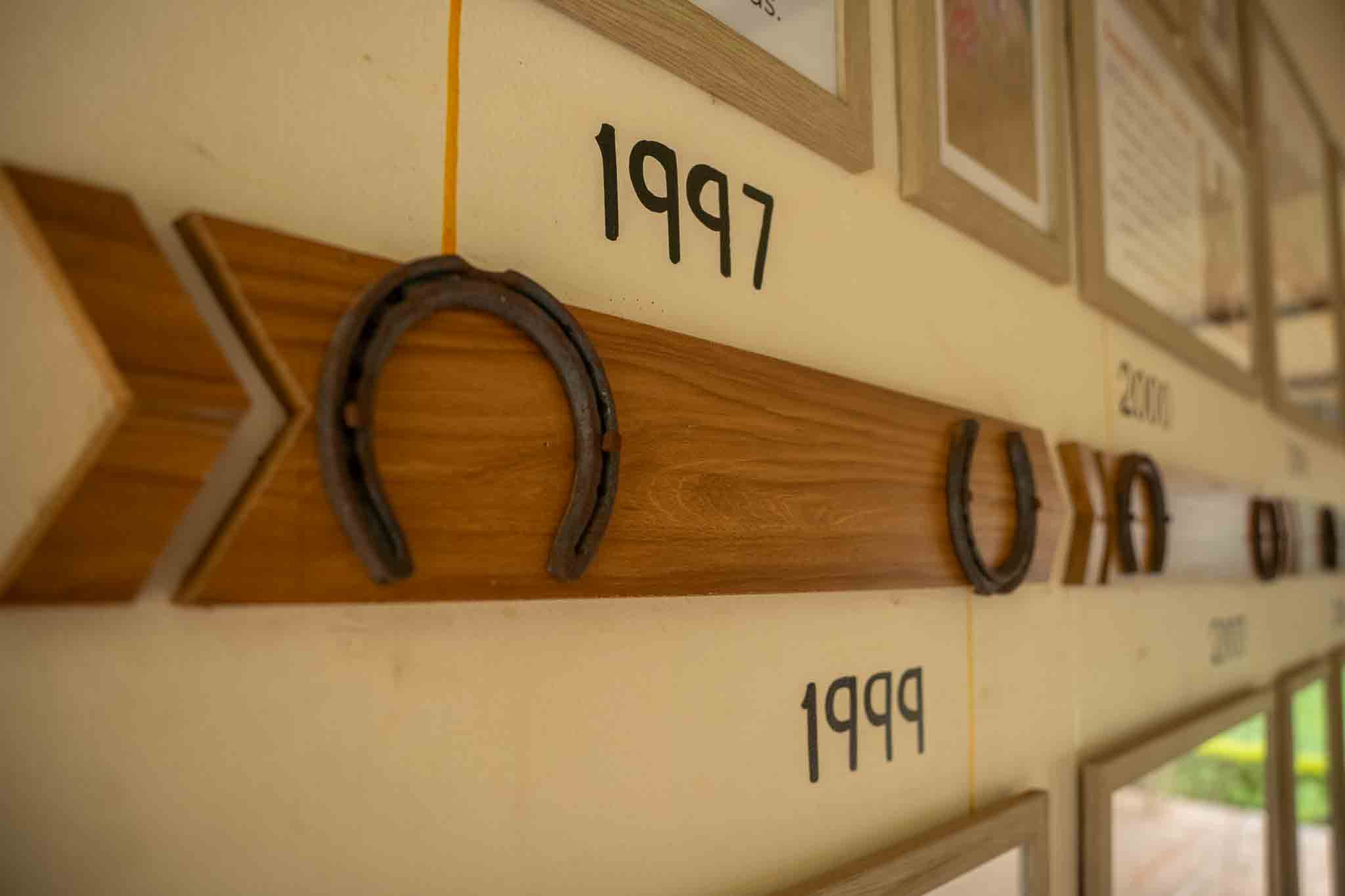 Discover the Perfect Date: Romantic Private Horse Riding Adventure!