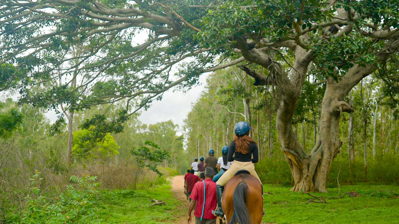 Are You and Your Kids Missing Out on Pony Riding Magic?