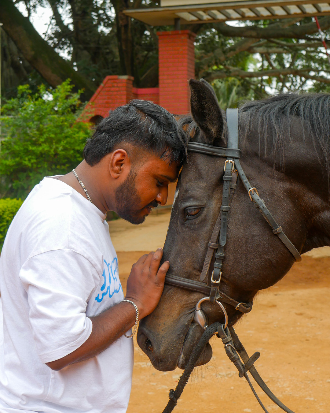 Why Adventure Seekers Can’t Get Enough of this Forest Safari!