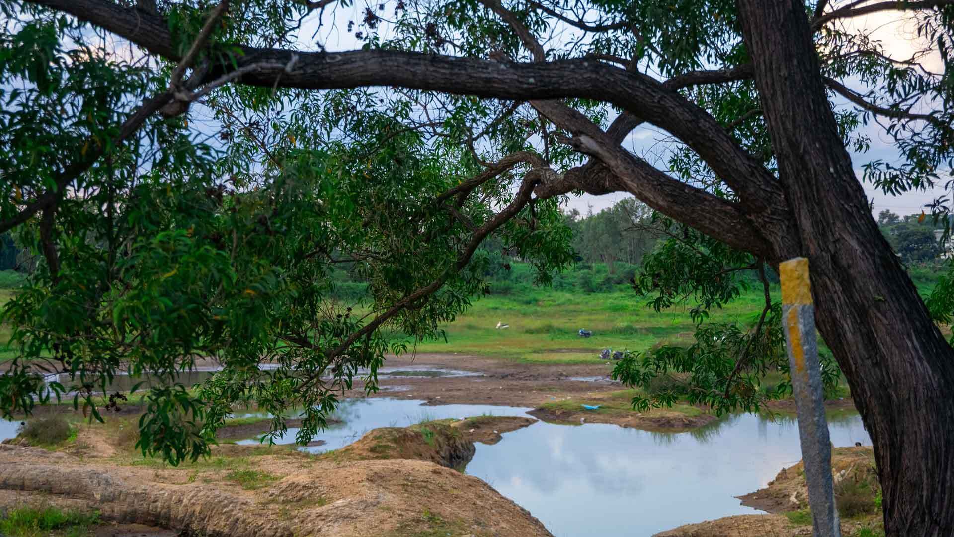 Unlock Adventure: The Ultimate Outdoor Bonfire Experience!