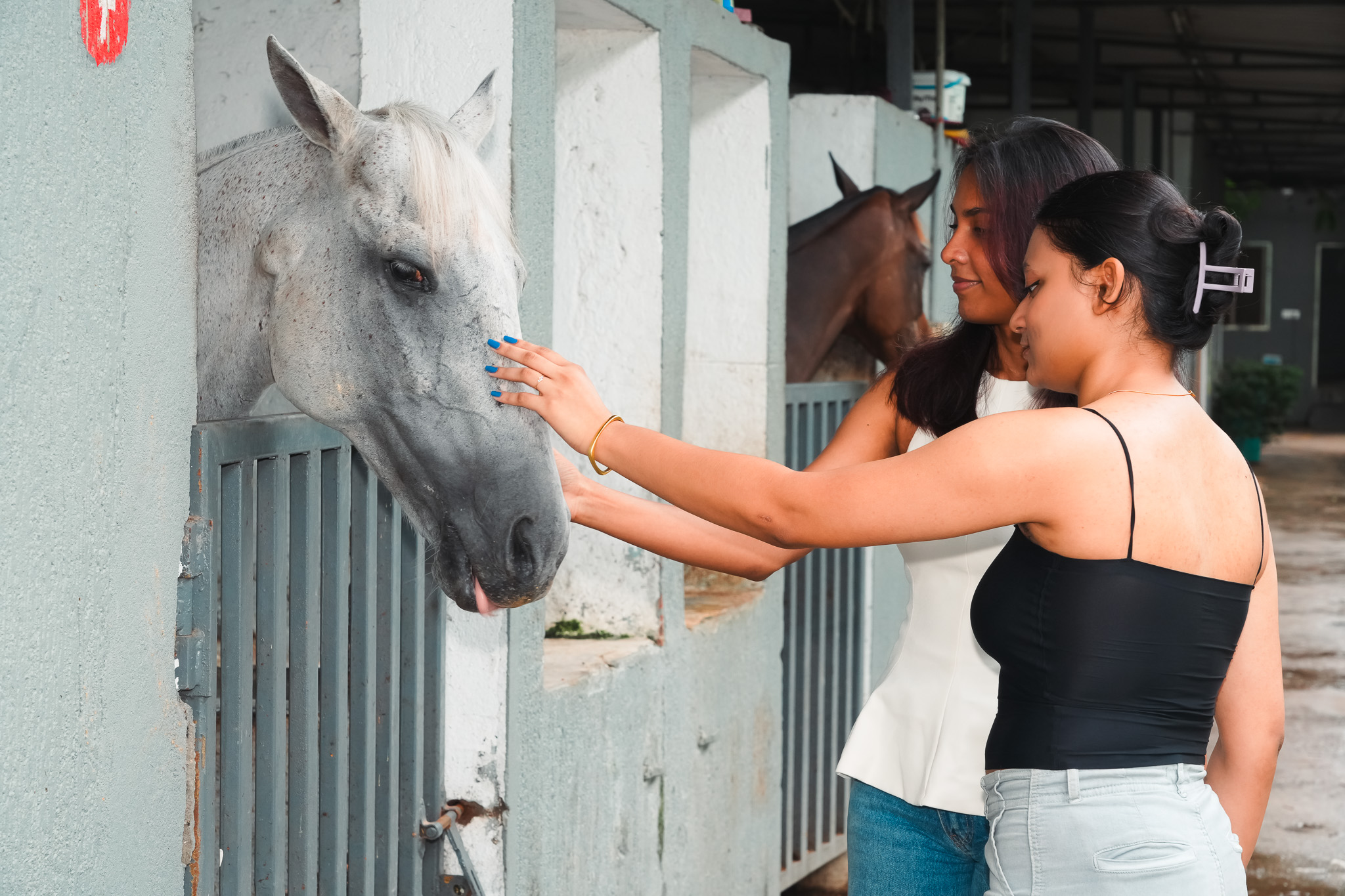 Why We All Should Try Horse Riding Learning Experience in Hyderabad